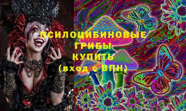 ешки Струнино