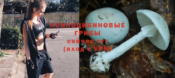 гашиш Покачи