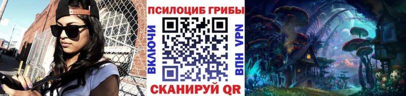 Псилоцибиновые грибы GOLDEN TEACHER  shop клад  Бакал 