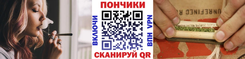MEGA как войти  Бакал  Марихуана сатива 